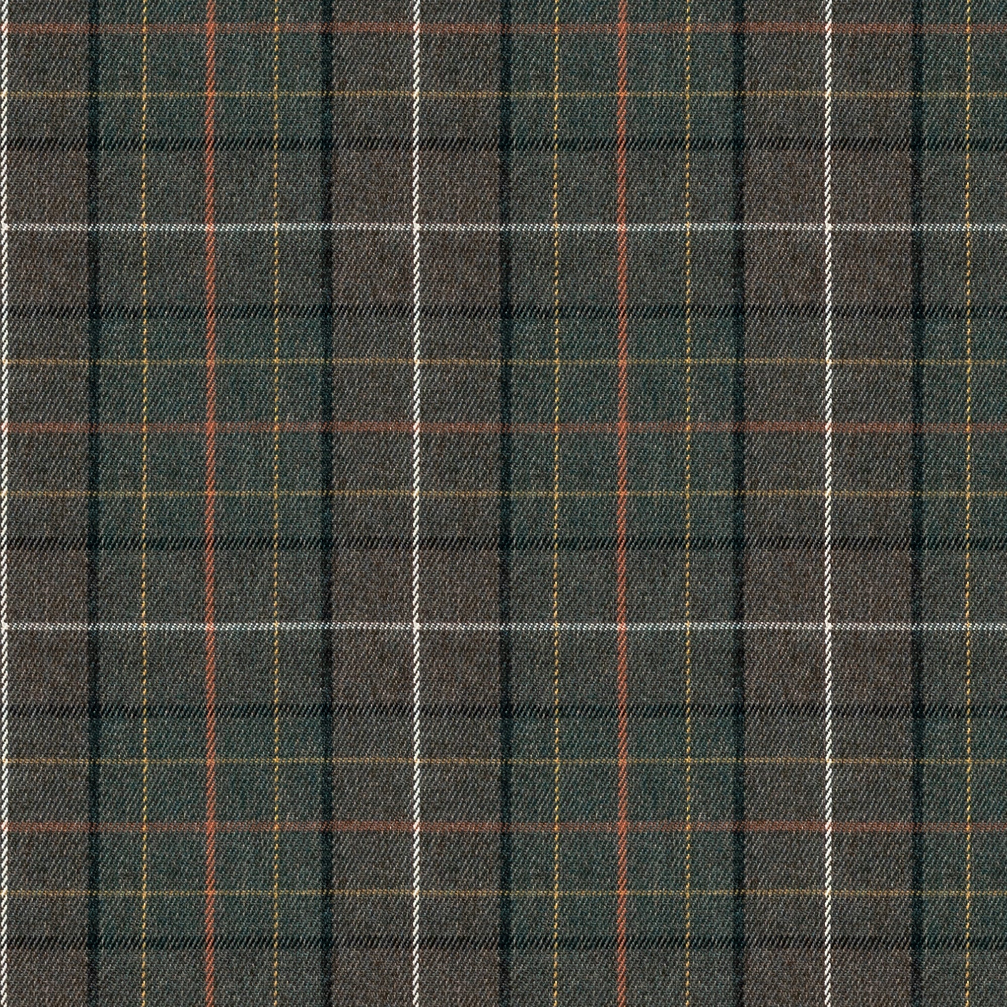 LAUF-0212_Alfriston-Fern_Roman-Swatch_sample-magnified_a535fa3f-667f-4274-9a42-29eebaecfeeb