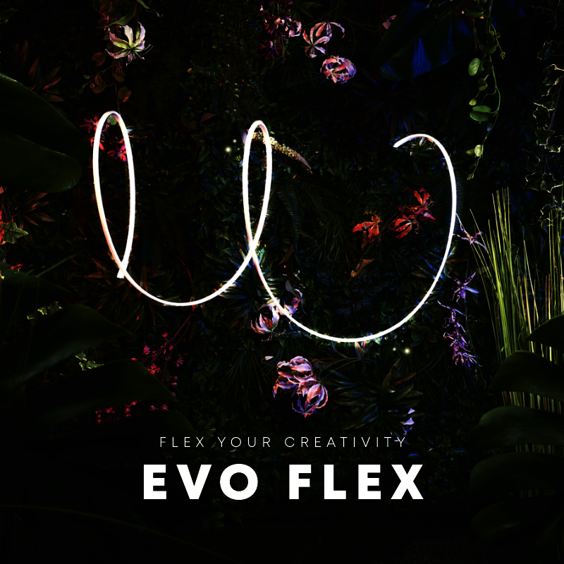 EVO FLEX 3 - 12V - Image 3