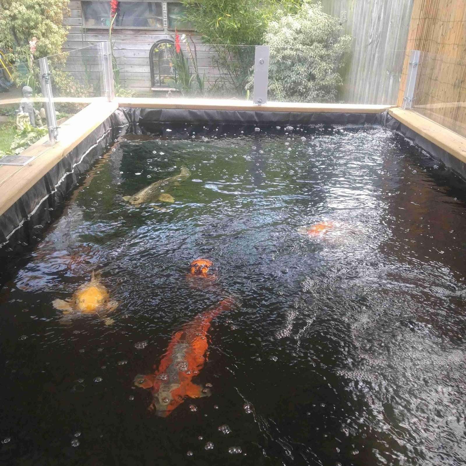 Extra Heavy Duty Wooden Koi LayzeePond® | 70mm thick logs | Various Sizes - Image 8