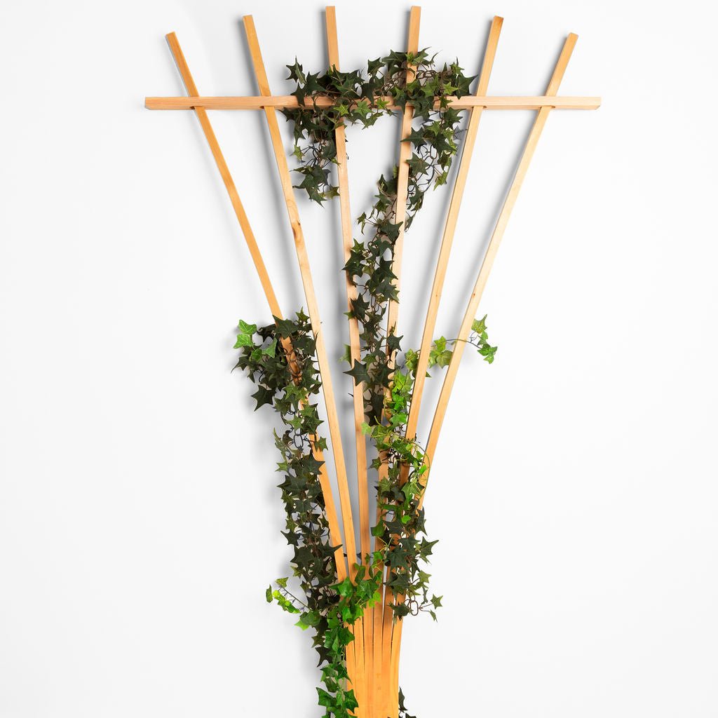Cedar Wood Fan Trellis