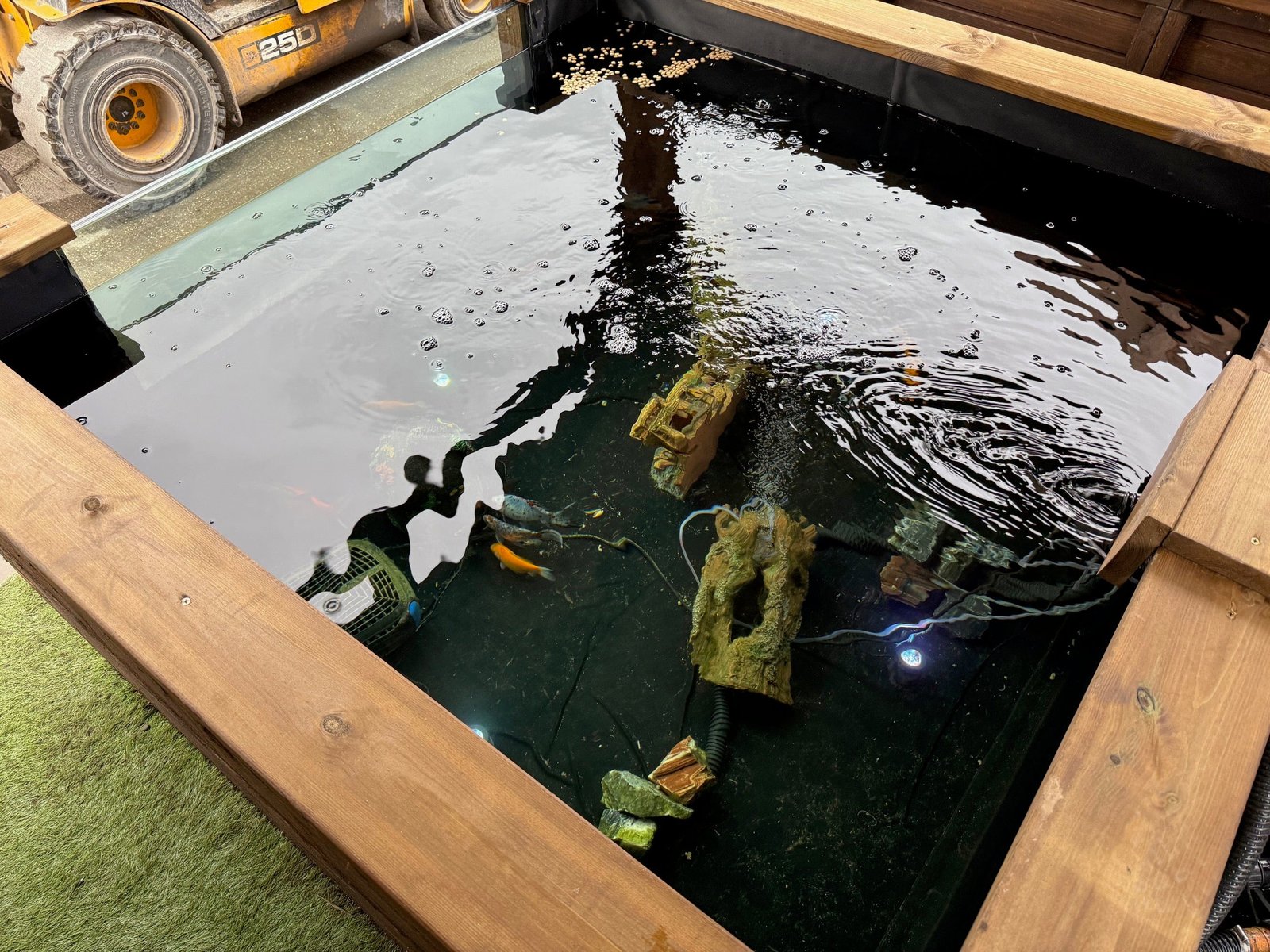 Wooden Koi LayzeePond® With Window, Various Sizes & Options - Image 9