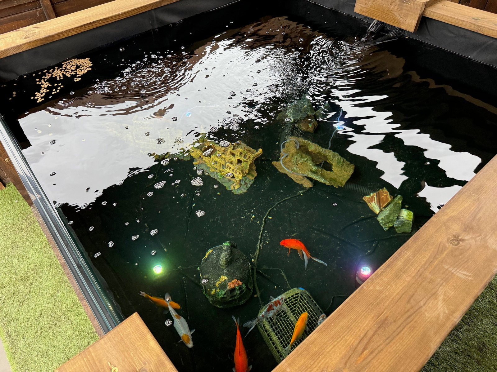 Wooden Koi LayzeePond® With Window, Various Sizes & Options - Image 8