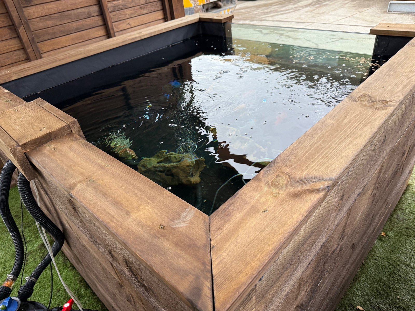 Wooden Koi LayzeePond® With Window, Various Sizes & Options - Image 3